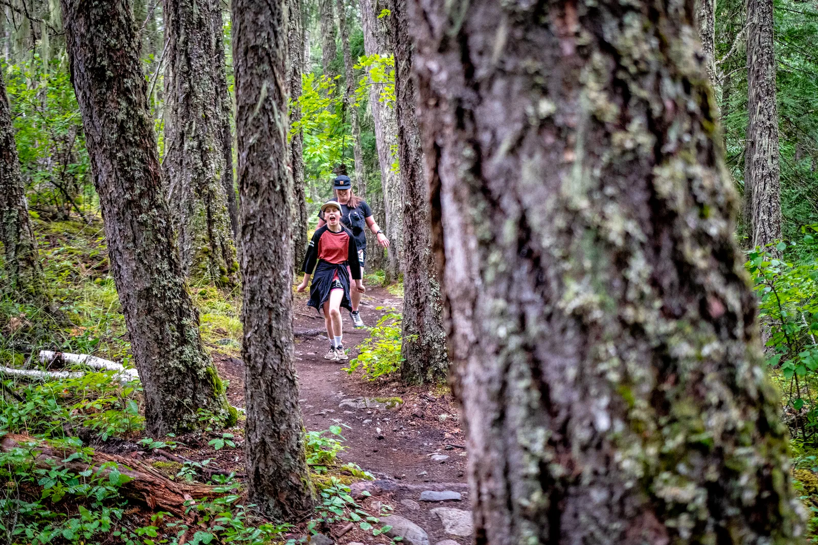 Pemberton trail walk scenery